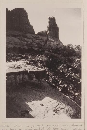 The Tooth in the drainage of Black Water Creek near the Rainbow Bridge Trail between Butte 6069 and Navajo Mountain