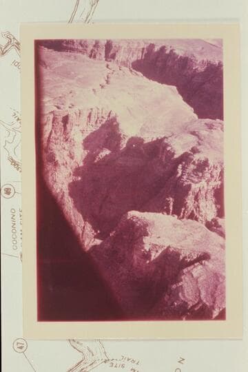 Sheep Trail on top at Mile 45