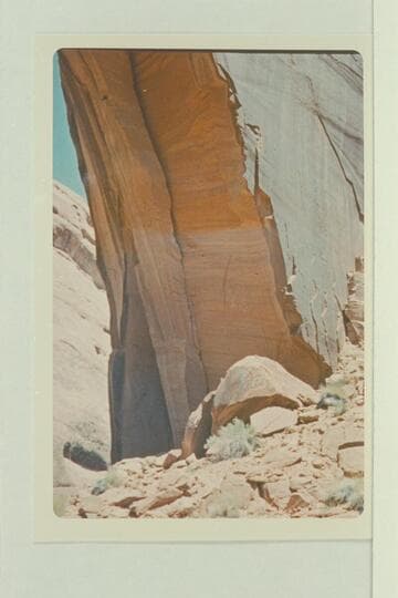 Location photo of split rock in which the Grey and Wetherill names are inscribed