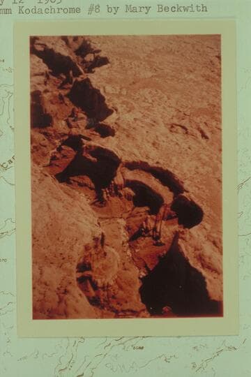 Northeasterly up Cow Canyon