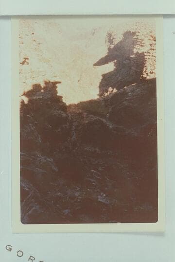 Down Grapevine Canyon