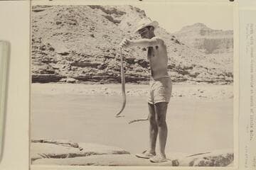 Garth with Grand Canyon rattler at mouth of Little Colorado [photo reverse:  Garth Marston examines the ability of a rattler to chin himself by his tail--not a recommended occupation]