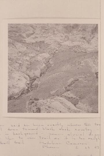Trail to Rainbow Bridge at foot of Navajo Mountain