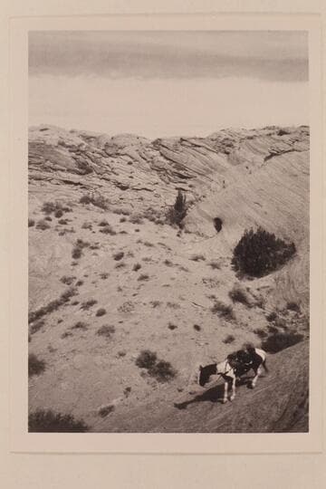 Down from slickrock divide between Bald Rock and Nasja Creeks