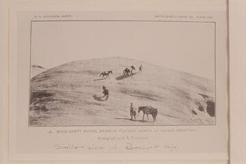 Trail over the Baldheads to Rainbow Bridge