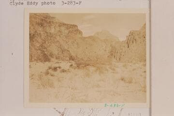 Up Diamond Creek from its mouth