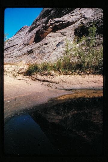 Stagnant plunge pool below drop and 1/4-1/2 mile above spring tributary; Halls Creek right bank; below Baker's Ranch