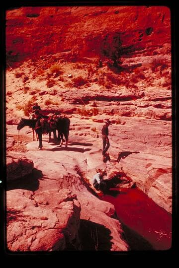 Waterhole in Bald Rock Canyon