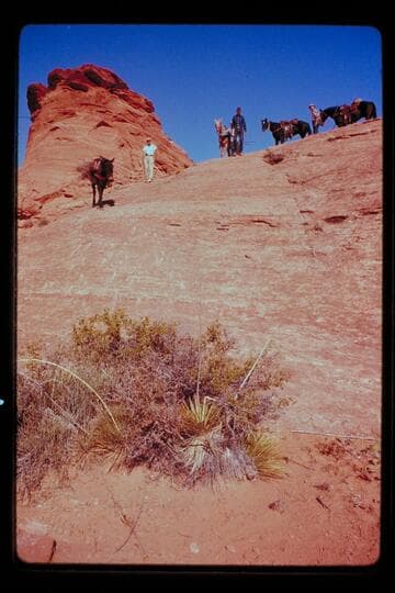 Down into Nasja Creek from Saddle