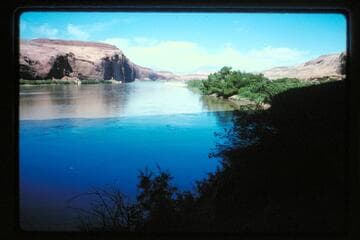 Up river from wall of Halls Crossing; left bank