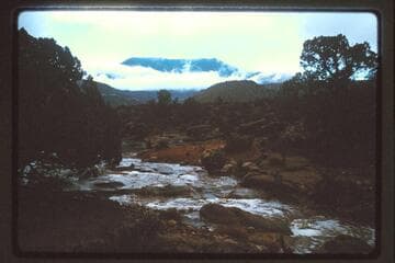 Navajo Mountain flash flood