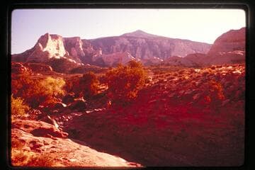 Navajo Mountain from Cha Canyon