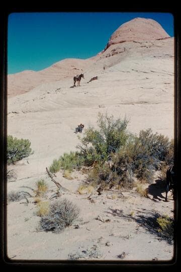 Near head of side canyon into Moepitz Canyon