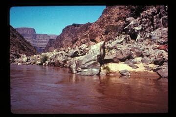 Mile 232, head of rapids, right bank, high water