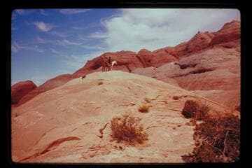 West side 6069 and north of Black Water Creek