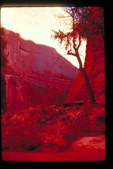 Near junction of Anasazi and Moepitz Canyons