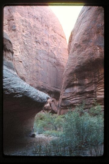 Down Anasazi Canyon from fall