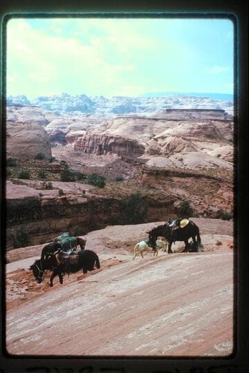 Down Bald Heads into Bald Rock Creek
