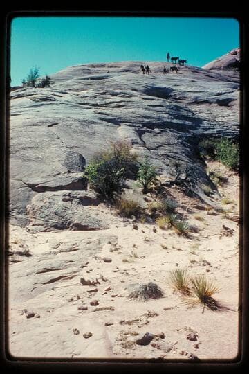 Pack string on Bald Rock above basin east of Moepitz Airfield