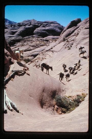 Down into Moepitz Canyon
