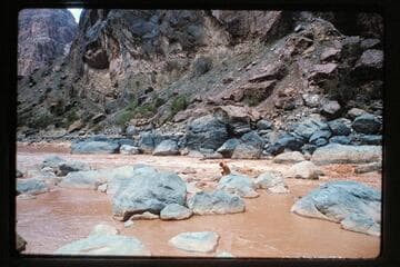 Buzz lining sportyak at Vulcan Rapid