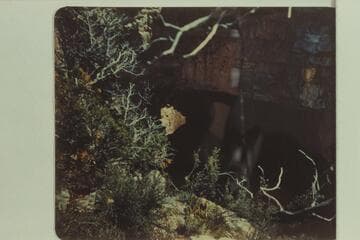 Bridge in the Redwall near beginning of the Redwall, 60 ft. wide.  Muav Canyon, a tributary to Shinumo Canyon