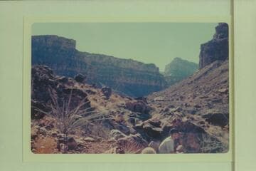 Looking up Beaver Canyon from above end