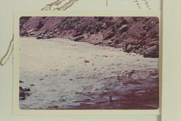 Jim Jordan swings the "Circle" to the right to stay next to the tail waves of Vulcan Rapid.  Approximate gauge:  45,000 cfs