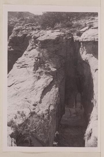 Top of bridge found in upper part of Little Finger Canyon, Navajo Canyon.  Masland is proposing the name, "Whitehat Bridge."