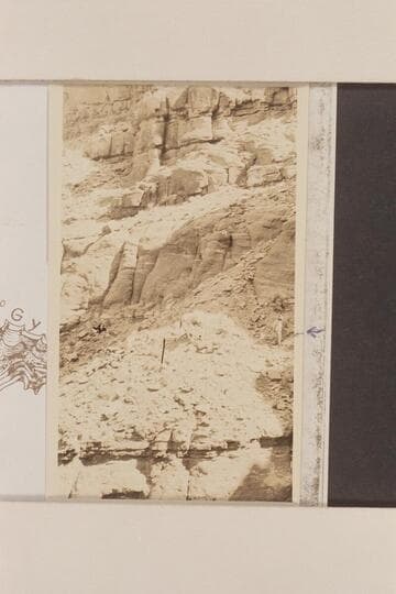 Leading mule down difficult part of trail from Beef Basin to the mouth of Gypsum Creek.  The man is at right margin at the arrow.  The train reaches the river approximately 1/3 mile above the mouth of Gypsum Creek