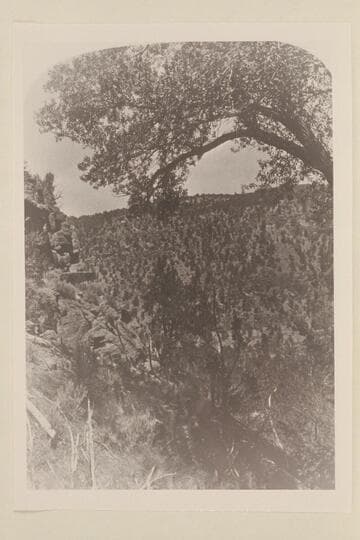 From a stereo:  No. 21:  "Views on the Green River," Red Canon Series; Francis Creek