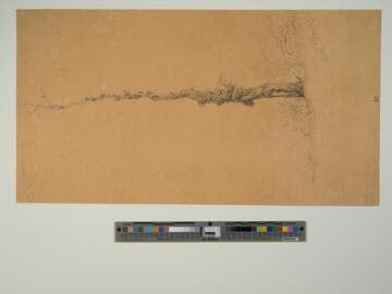 Aux Vaux de Cernay Vallée de Senlisse Etude de vieux arbre