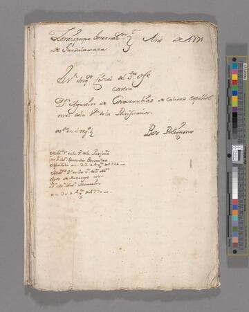 Trial of Agustín de Covarrubias for polygamy