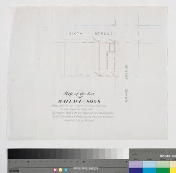 Map of the Lot of Wallace and Sons, being part of Lot 5 Block 21 Ord's Survey