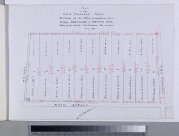 Plat of the Celis Vineyard Tract.; showing subdivisions of partition 1877
