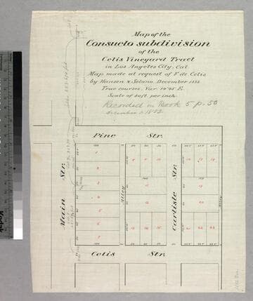 Consuelo subdivision of the Celis Vineyard Tract