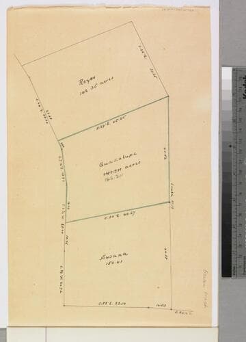Rancho San Pedro : S73 (partition of 1884-1885, report of referees) - Guadalupe Domínguez parcels