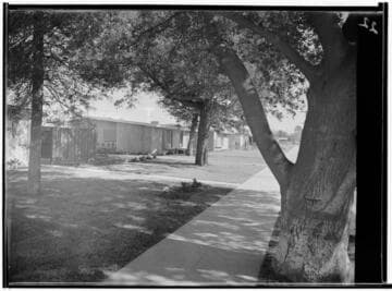 Meadowlark Park [model houses]