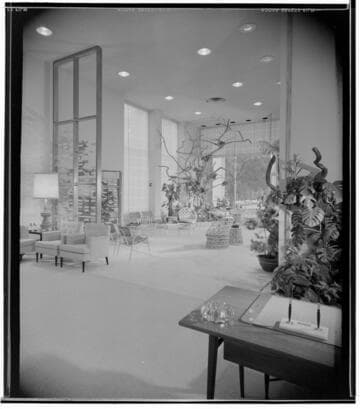 [Joseph Salon Shoes]