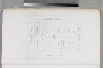 Mott Tract : maps of individual blocks