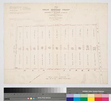 Celis Vineyard Tract