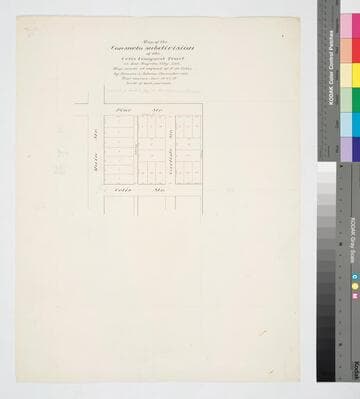 Consuelo subdivision of the Celis Vineyard Tract