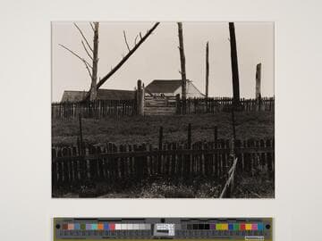 Family Group, on Wildcat Hills