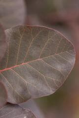 Go to image 11.
