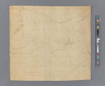 Map of the Great Pattent or Hardenburg Pattent [cartographic material]