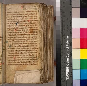 Compendium theologicae veritatis : [manuscript]