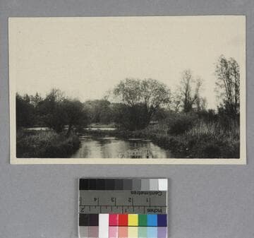 Test River, at Cabbage Island, with surrounding landscape