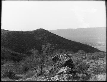 Croppings, looking south