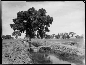 Irrigation ditch