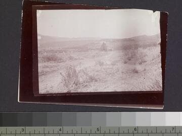 Unidentified building and landscape